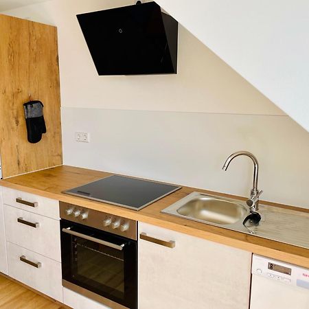 Stadtoase Geraeumige Gaestewohnungen Mit Balkon, Komfort, Modernitaet Und Ruhe, Fuer Monteure Geeignet, Free Wifi Frankenberg Bagian luar foto