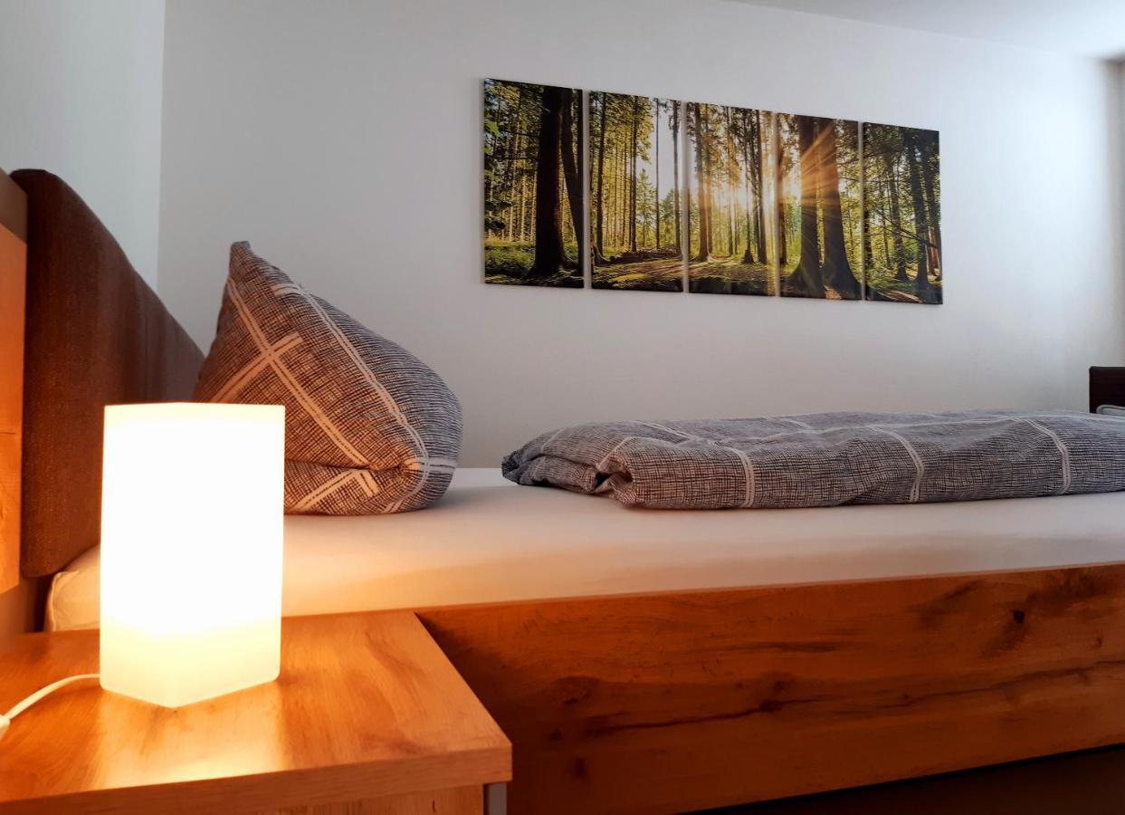 Stadtoase Geraeumige Gaestewohnungen Mit Balkon, Komfort, Modernitaet Und Ruhe, Fuer Monteure Geeignet, Free Wifi Frankenberg Bagian luar foto